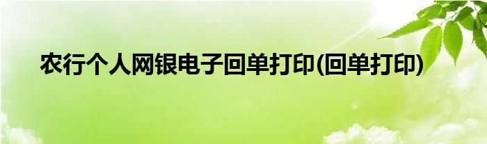 农行个人网银电子回单打印(回单打印)