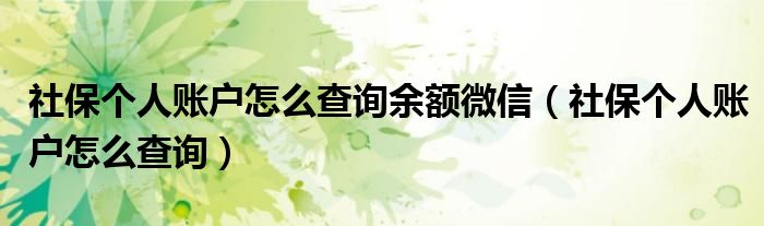 社保个人账户怎么查询余额微信（社保个人账户怎么查询）