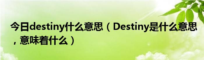 今日destiny什么意思（Destiny是什么意思，意味着什么）