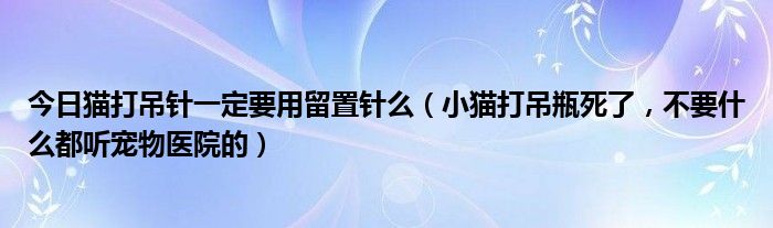 今日猫打吊针一定要用留置针么（小猫打吊瓶死了，不要什么都听宠物医院的）