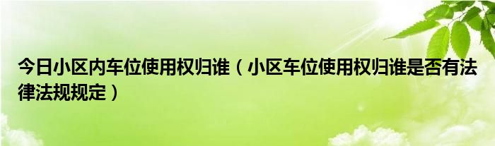 今日小区内车位使用权归谁（小区车位使用权归谁是否有法律法规规定）