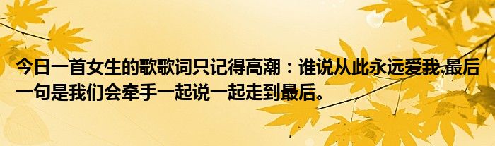 今日一首女生的歌歌词只记得高潮：谁说从此永远爱我.最后一句是我们会牵手一起说一起走到最后。