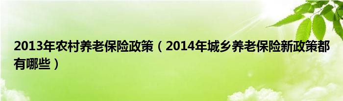 2013年农村养老保险政策（2014年城乡养老保险新政策都有哪些）