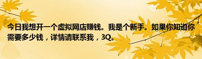 今日我想开一个虚拟网店赚钱。我是个新手。如果你知道你需要多少钱，详情请联系我，3Q。