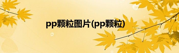 pp颗粒图片(pp颗粒)