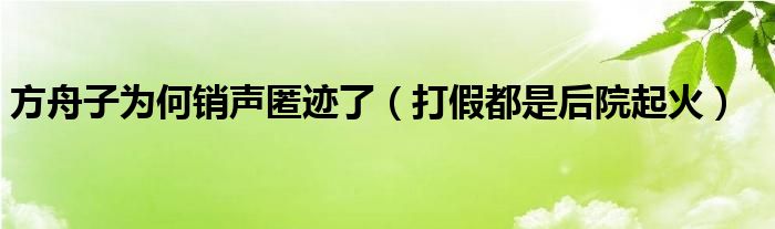 方舟子为何销声匿迹了（打假都是后院起火）