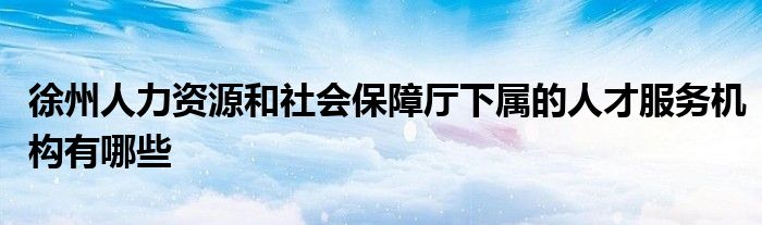 徐州人力资源和社会保障厅下属的人才服务机构有哪些