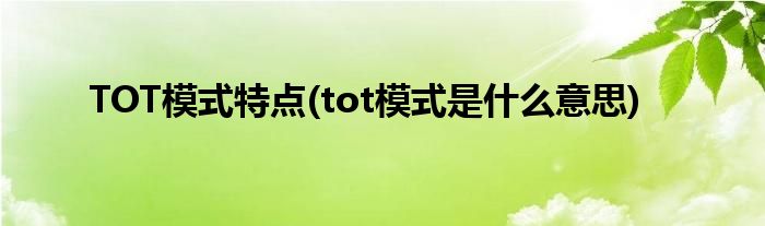 TOT模式特点(tot模式是什么意思)