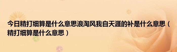 今日精打细算是什么意思浪淘风我自天涯的补是什么意思（精打细算是什么意思）