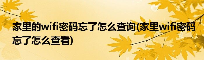 家里的wifi密码忘了怎么查询(家里wifi密码忘了怎么查看)