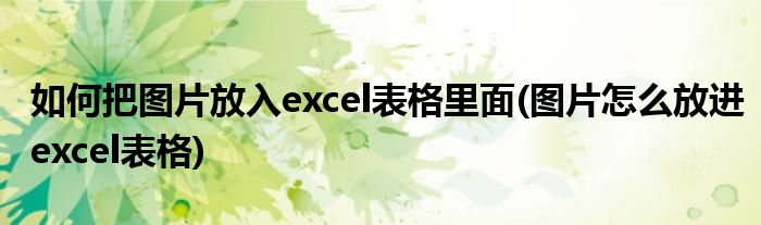 如何把图片放入excel表格里面(图片怎么放进excel表格)