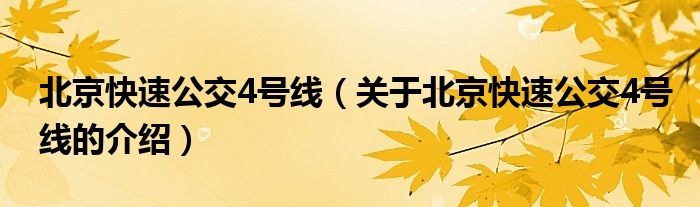 北京快速公交4号线（关于北京快速公交4号线的介绍）