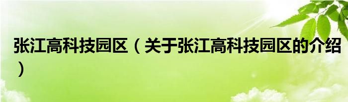 张江高科技园区（关于张江高科技园区的介绍）