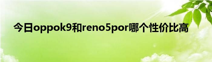 今日oppok9和reno5por哪个性价比高