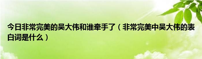 今日非常完美的吴大伟和谁牵手了（非常完美中吴大伟的表白词是什么）