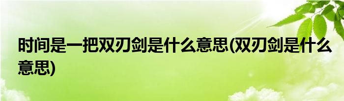 时间是一把双刃剑是什么意思(双刃剑是什么意思)