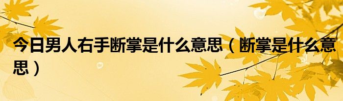 今日男人右手断掌是什么意思（断掌是什么意思）