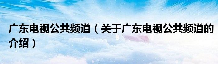 广东电视公共频道（关于广东电视公共频道的介绍）