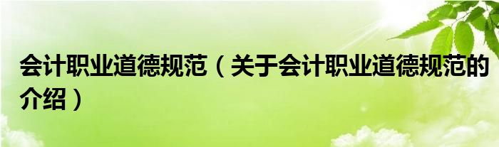 会计职业道德规范（关于会计职业道德规范的介绍）