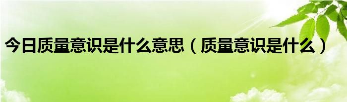 今日质量意识是什么意思（质量意识是什么）