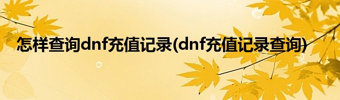 怎样查询dnf充值记录(dnf充值记录查询)