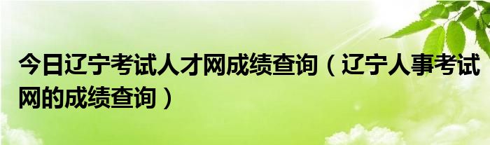 今日辽宁考试人才网成绩查询（辽宁人事考试网的成绩查询）