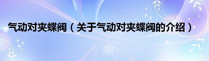 气动对夹蝶阀（关于气动对夹蝶阀的介绍）