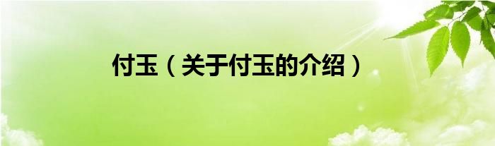 付玉（关于付玉的介绍）