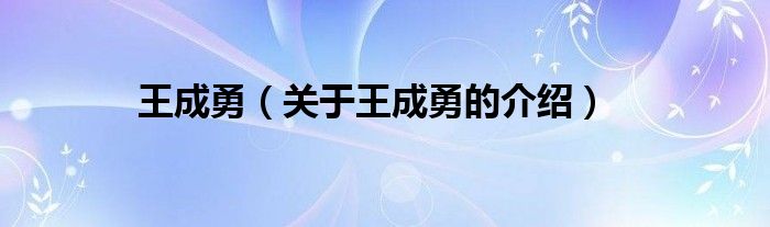 王成勇（关于王成勇的介绍）