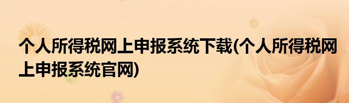 个人所得税网上申报系统下载(个人所得税网上申报系统官网)