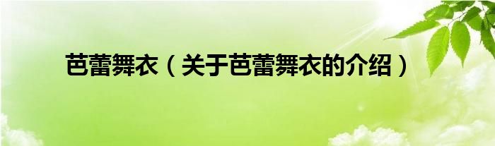 芭蕾舞衣（关于芭蕾舞衣的介绍）