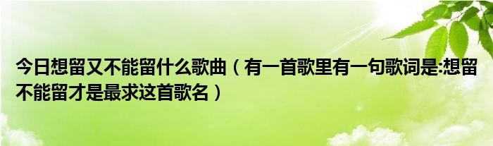 今日想留又不能留什么歌曲（有一首歌里有一句歌词是:想留不能留才是最求这首歌名）