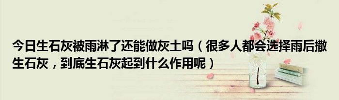 今日生石灰被雨淋了还能做灰土吗（很多人都会选择雨后撒生石灰，到底生石灰起到什么作用呢）