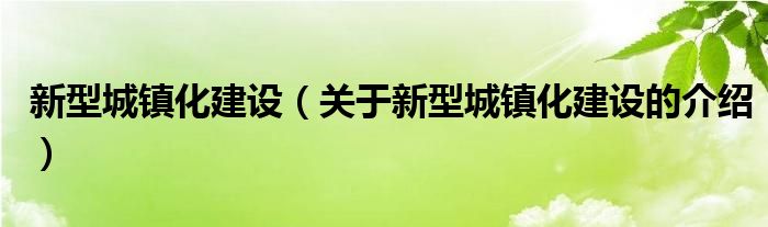 新型城镇化建设（关于新型城镇化建设的介绍）