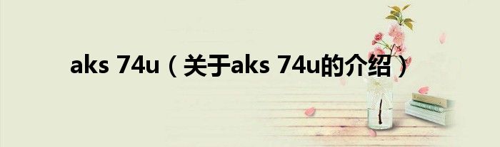 aks 74u（关于aks 74u的介绍）