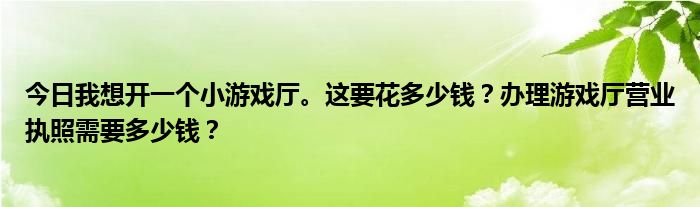 今日我想开一个小游戏厅。这要花多少钱？办理游戏厅营业执照需要多少钱？