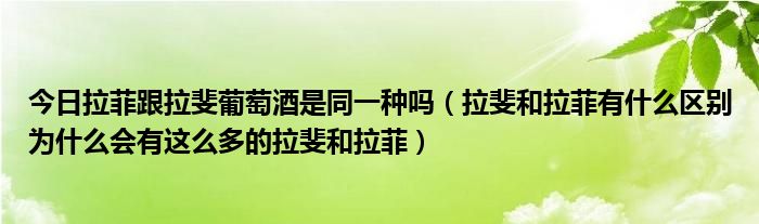 今日拉菲跟拉斐葡萄酒是同一种吗（拉斐和拉菲有什么区别为什么会有这么多的拉斐和拉菲）