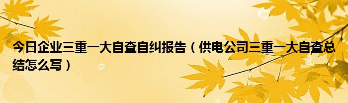 今日企业三重一大自查自纠报告（供电公司三重一大自查总结怎么写）