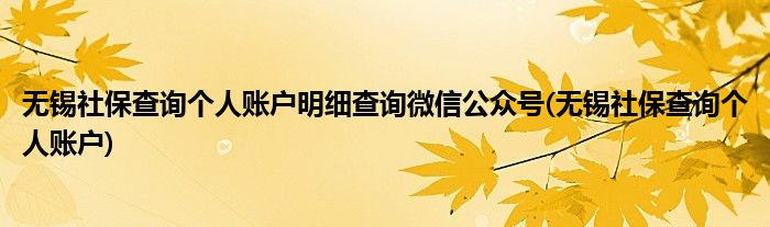 无锡社保查询个人账户明细查询微信公众号(无锡社保查询个人账户)