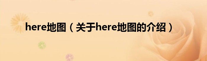 here地图（关于here地图的介绍）