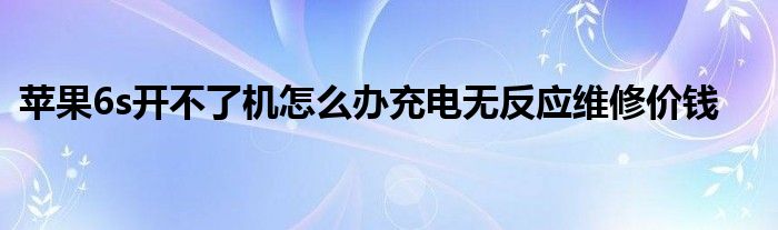 苹果6s开不了机怎么办充电无反应维修价钱