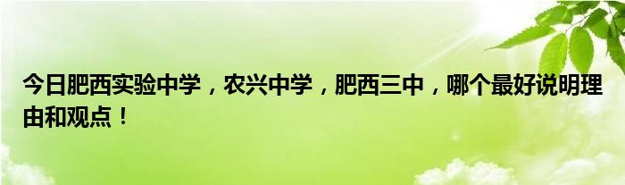 今日肥西实验中学，农兴中学，肥西三中，哪个最好说明理由和观点！