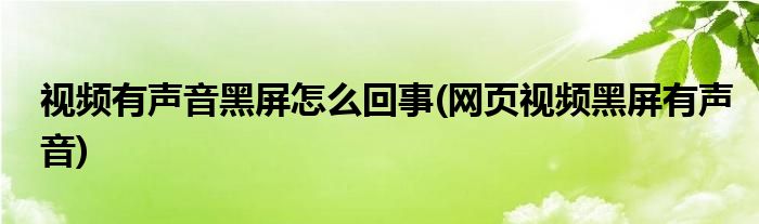 视频有声音黑屏怎么回事(网页视频黑屏有声音)