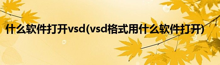 什么软件打开vsd(vsd格式用什么软件打开)