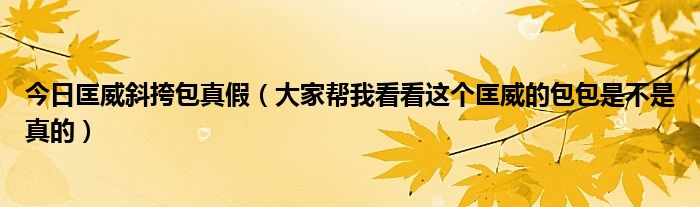 今日匡威斜挎包真假（大家帮我看看这个匡威的包包是不是真的）