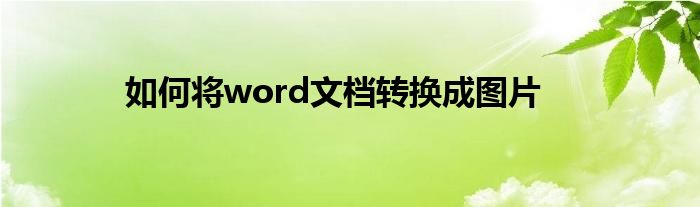 如何将word文档转换成图片