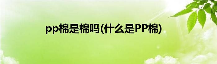 pp棉是棉吗(什么是PP棉)