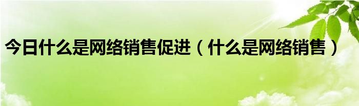 今日什么是网络销售促进（什么是网络销售）