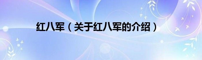 红八军（关于红八军的介绍）