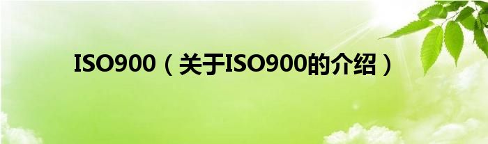 ISO900（关于ISO900的介绍）